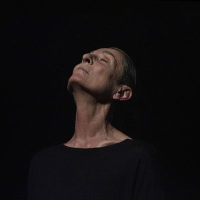 Régine Chopinot, A D-N
