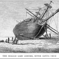 De l’observation des espèces comme les pinsons des Galapagos, où celle de la formation des atolls du Pacifique, qu’avait-il pu comprendre des lois qui régissent les processus évolutifs à échelle géologique et du vivant ?