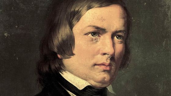 Portrait de Robert Schumann (1810-1856) - DEA/A. DAGLI ORTI/ DeAgostini/Getty Images
