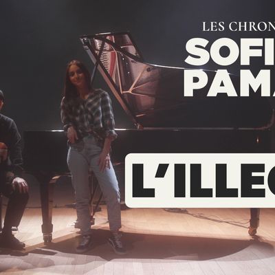 Les Chroniques de SOFIANE PAMART : L'illégal