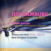 Lieder eines fahrenden Gesellen : 2. Ging heut' morgen übers Feld - arrangement pour mezzo-soprano et ensemble instrumental
