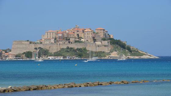 rencontres de chants polyphoniques de calvi 2013