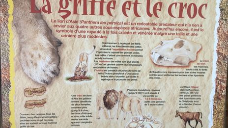 Un été au zoo de Mulhouse: la zoopédagogie