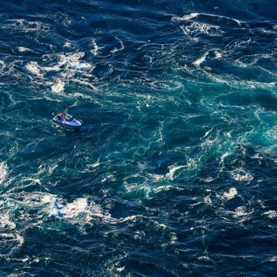 Une seule goutte d'eau contient des milliers d'organismes vivants.