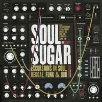 "Excursions in Soul, Reggae, Funk & Dub"