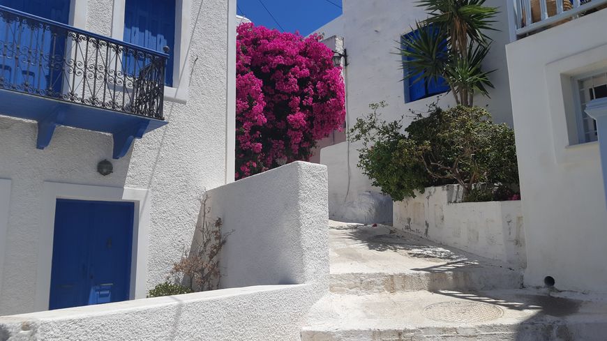 Une petite ruelle dans l'île grecque tranquille d'Astypalea