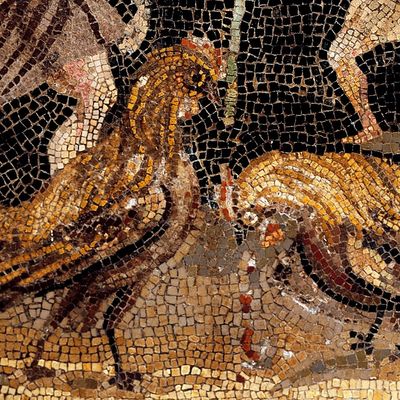 Mosaïque antique romaine (détail).