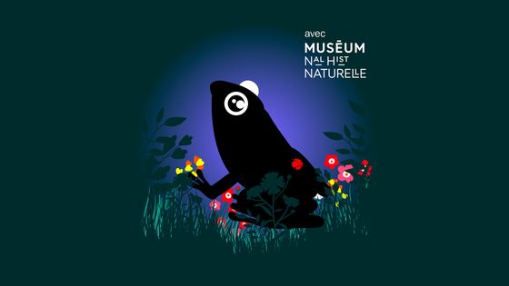 La grenouille 1800 x 1200 ©Radio France - Fabienne Guevara