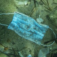 Masque médical et autres déchets polluants dans la mer Adriatique (Becici, Municipalité de Budva, Monténégro, juillet 2020)