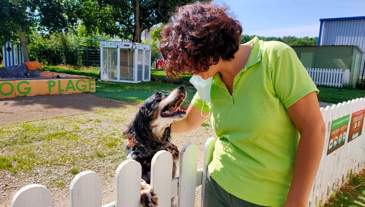 nail resort rencontre