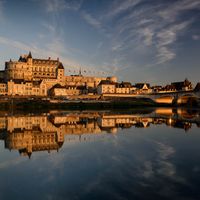 La ville d'Amboise et son château donnant sur la Loire