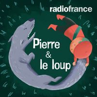 Pierre et le loup carré concert fiction Morel