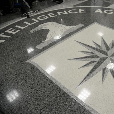 Logo de la CIA pour illustrer Amaryllis FOX, jeune espionne de la CIA chargée de traquer les terroristes d’Al Qaida