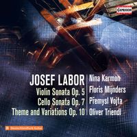 Sonate pour violoncelle et piano n°1 en La Maj op 7 : 4. Allegro con spirito