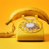 Illustration - Banane de téléphone " - The phone company ? I think there has been a mistake..."