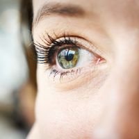 Le regard, au programme d'Eté Classique, cet après-midi