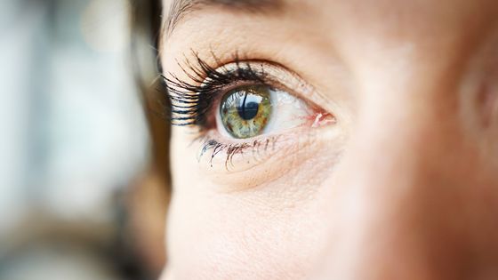 Le regard, au programme d'Eté Classique, cet après-midi ©Getty