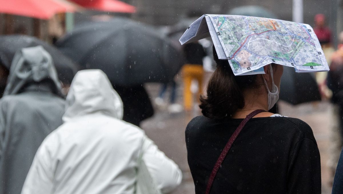 Un temps frais et arrosé au lieu de l'été chaud et sec annoncé : Météo France s'est-elle trompée ? - Vimarsana News