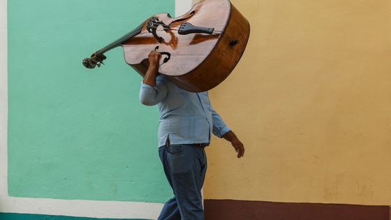 Les cordes sont à l’honneur sur France Musique ! ©Getty