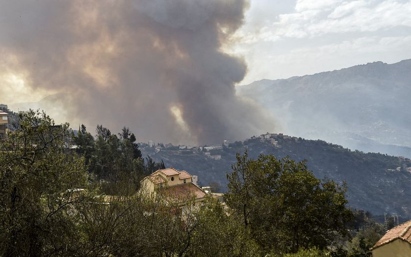 De violents incendies endeuillent l'Algérie - Vimarsana News