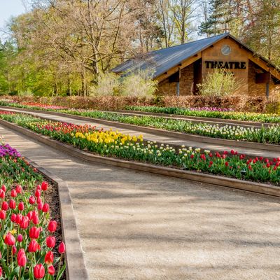 Parc Floral de Vincennes