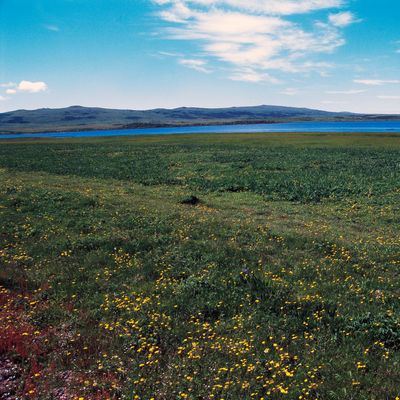Miquelon