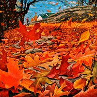 L'automne, saison romantique absolue ?