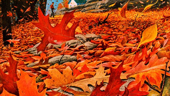L'automne, saison romantique absolue ? ©Getty - CSA Images