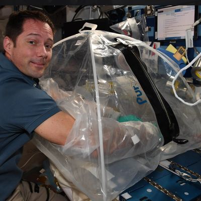 Thomas Pesquet en train de faire des expériences à bord de l'ISS
