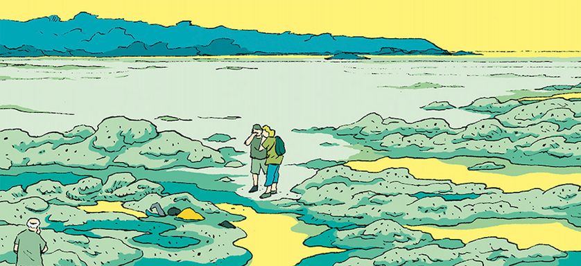 Algues vertes, quand la BD mène l'enquête - Vimarsana News
