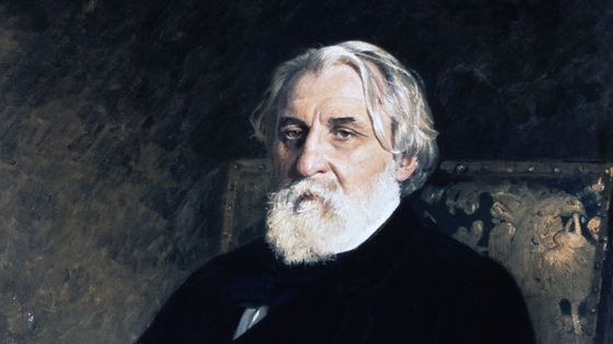 Portrait peint d'Ivan Sergeyevich Turgenev (détail) ©Getty - DeAgostini