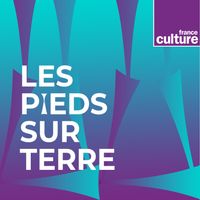Les Pieds sur terre