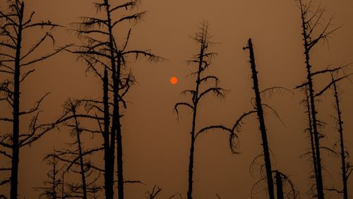 Dérèglement climatique : vivre avec les catastrophes 3/4 : De la Sibérie au Canada : le feu sous la glace