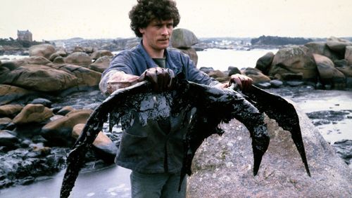 Histoire de l'écologie politique 4/4 : Quand l'écologie devint parti