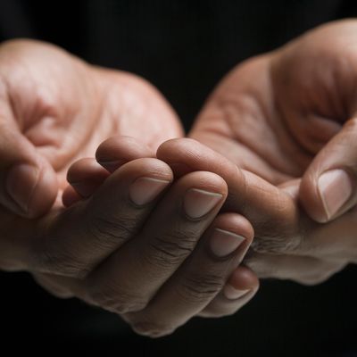 L’association "Toit à moi" achète des appartements pour les sans-abri