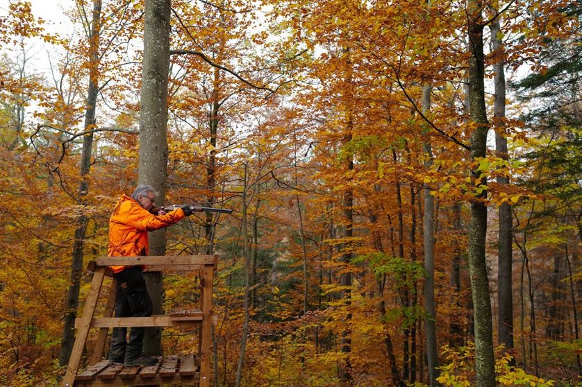 Ruralité : la chasse est ouverte - Vimarsana News