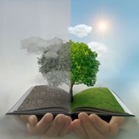 Que vaut un livre devant le mal fait à la planète ?