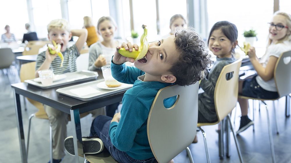 Que Deviennent Nos Cantines Scolaires