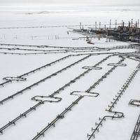 Gazprom, ConocoPhillips ou encore TotalEnergies, qualifiés d'expansionnistes en Arctique par l'ONG