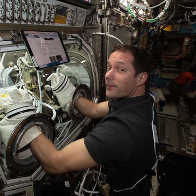 La boîte à gants, équipement indispensable à la science dans l'ISS