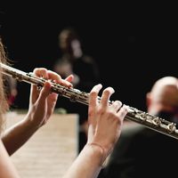 L'Orchestre symphonique de Baltimore a licencié sa flûtiste après qu'elle ait partagé des idées complotistes sur le Covid