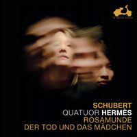 Quatuor à cordes n°14 en ré min D 810 (La jeune fille et la mort) : 1. Allegro