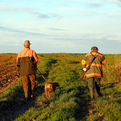 Les chasseurs ont-ils raison de dire qu'ils sont "les premiers écologistes de France"?