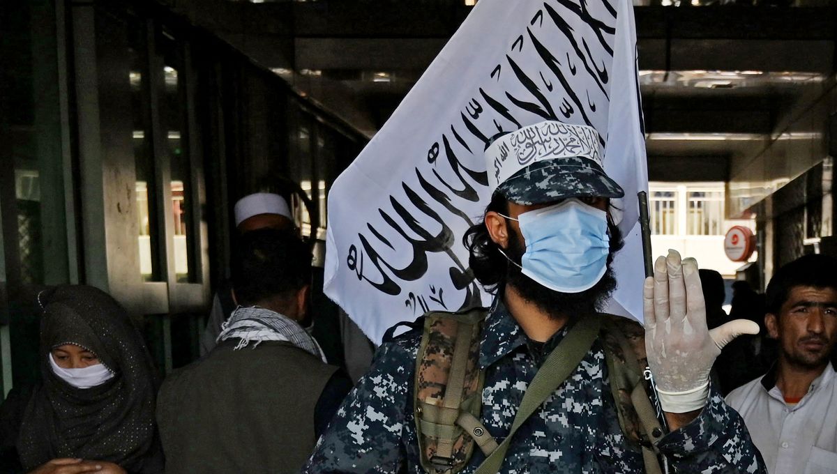 Pourquoi Les Talibans Ont Repris Le Pouvoir