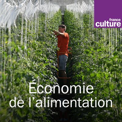 Economie alimentation carré