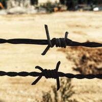 Barbelés et crimes