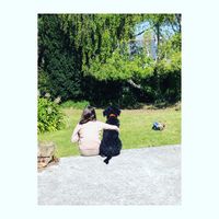 La Thérapie Assistée par l’Animal, aussi appelée médiation animale désigne une forme de thérapie où des activités sont réalisées avec la présence d’un animal.