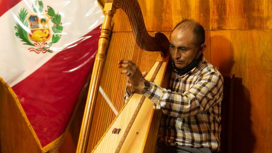 Royer Chavez Serafico, professeur de harpe traditionnelle péruvienne - Suzanne Gervais
