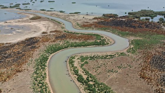 Un manque d'accès à l'eau potable a déplacé plus de 20 000 Irakiens en 2019, la plupart dans le sud du pays, selon l'Organisation internationale des migrations. ©AFP - Asaad Niazi