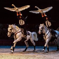 Cabaret de l’exil de Bartabas avec le Théâtre équestre Zingaro Les Oies au galop